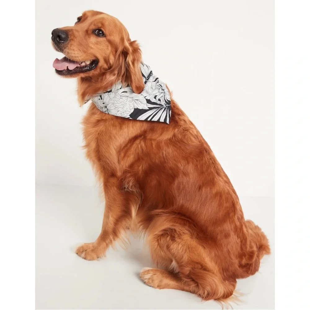 3/$15 🌸 Old Navy Dog Bandana Tropical Palm Leaf Pineapple Print